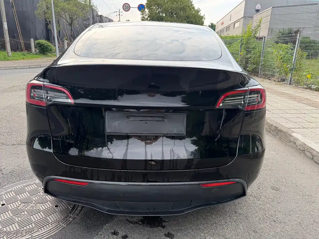 Tesla Model Y — миниатюра 6