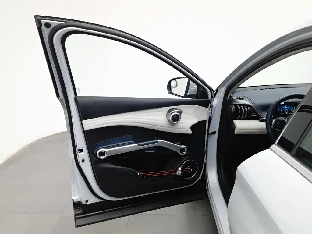 BYD Yuan Plus — миниатюра 8