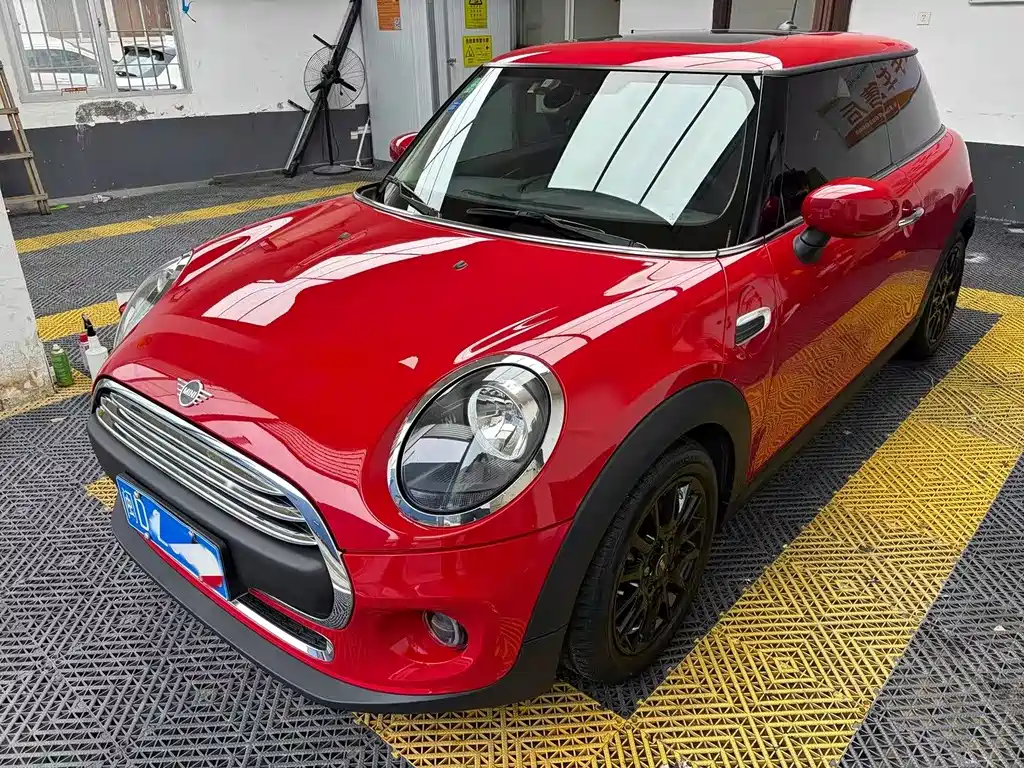 Mini Mini 2019