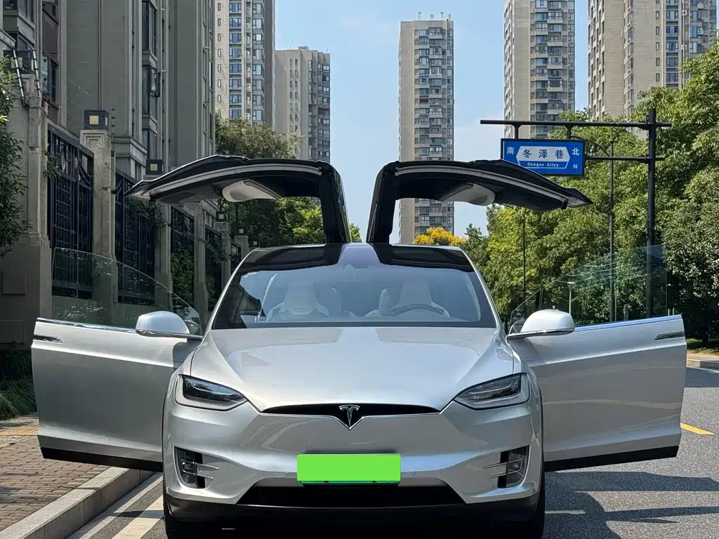 Tesla Model X — миниатюра 3