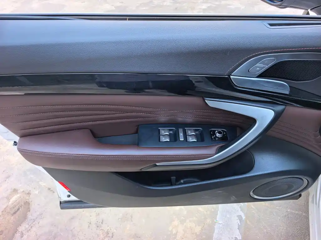 Wey Wey P8 — миниатюра 8