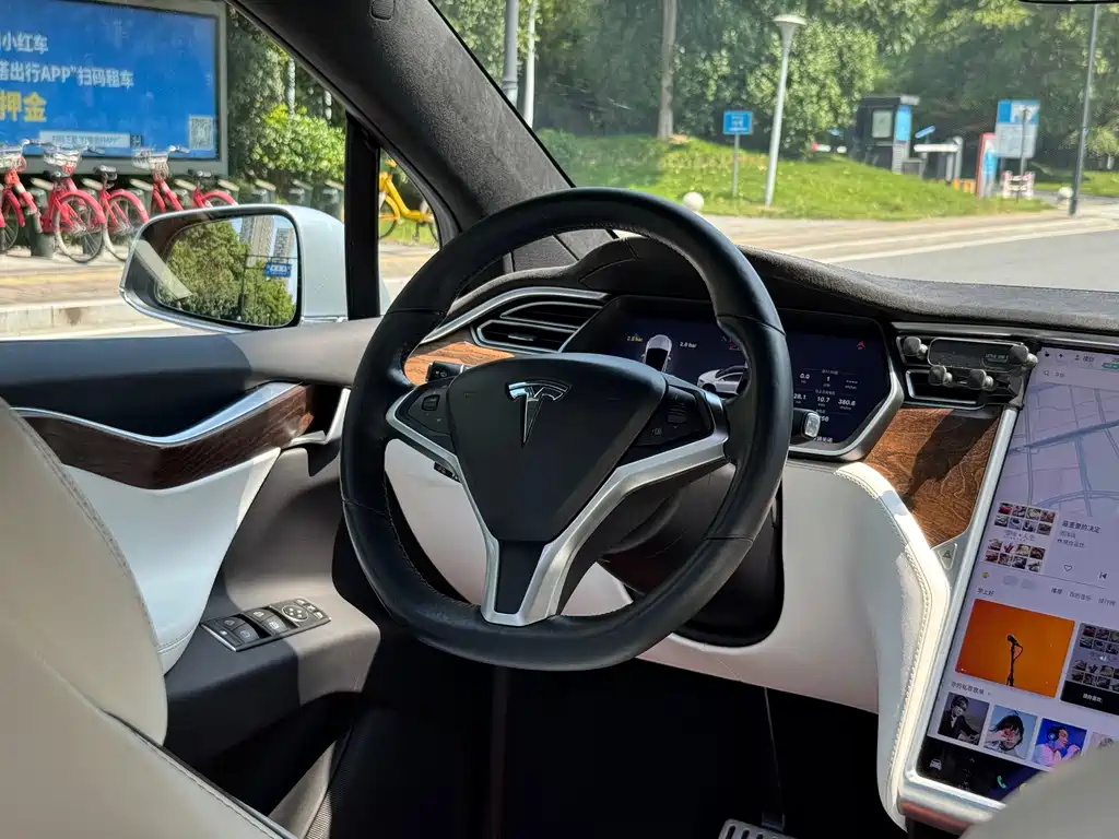 Tesla Model X — миниатюра 9