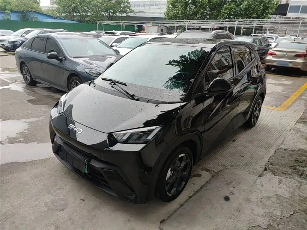 Byd Seagull 2024