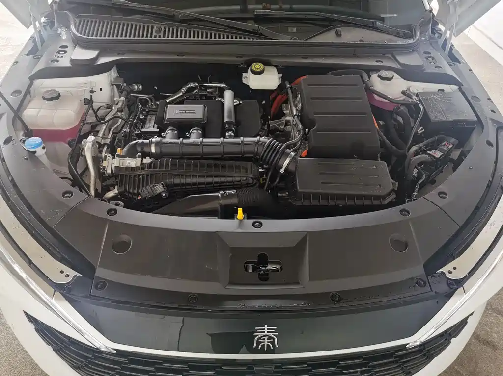 BYD QIN L