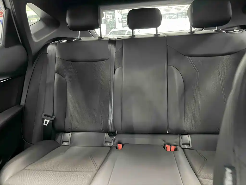 VOLKSWAGEN WITH THE CROWD 06