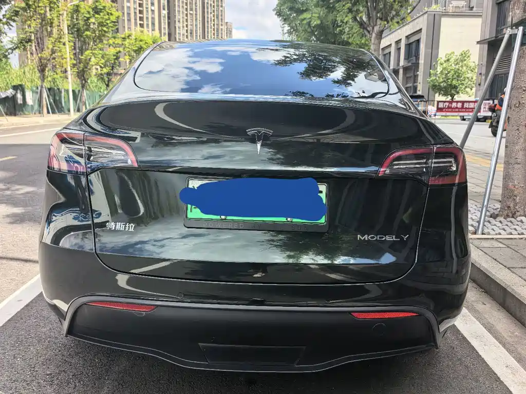 Tesla Model Y — миниатюра 23