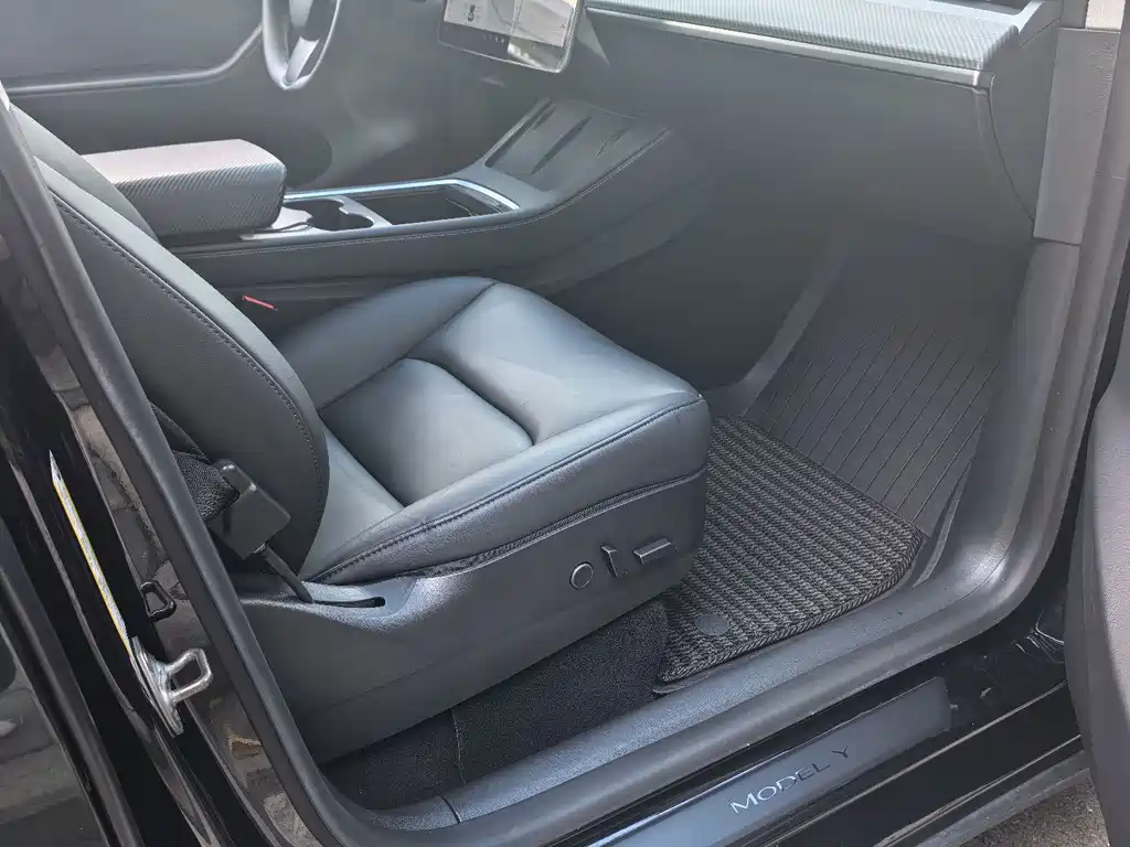 Tesla Model Y — миниатюра 6