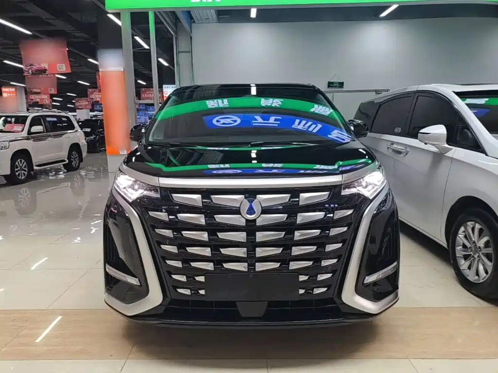 Denza Denza D9 — миниатюра 3