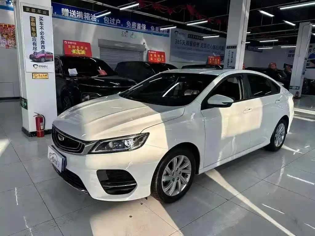 GEELY AUTOMOBILE BINRUI