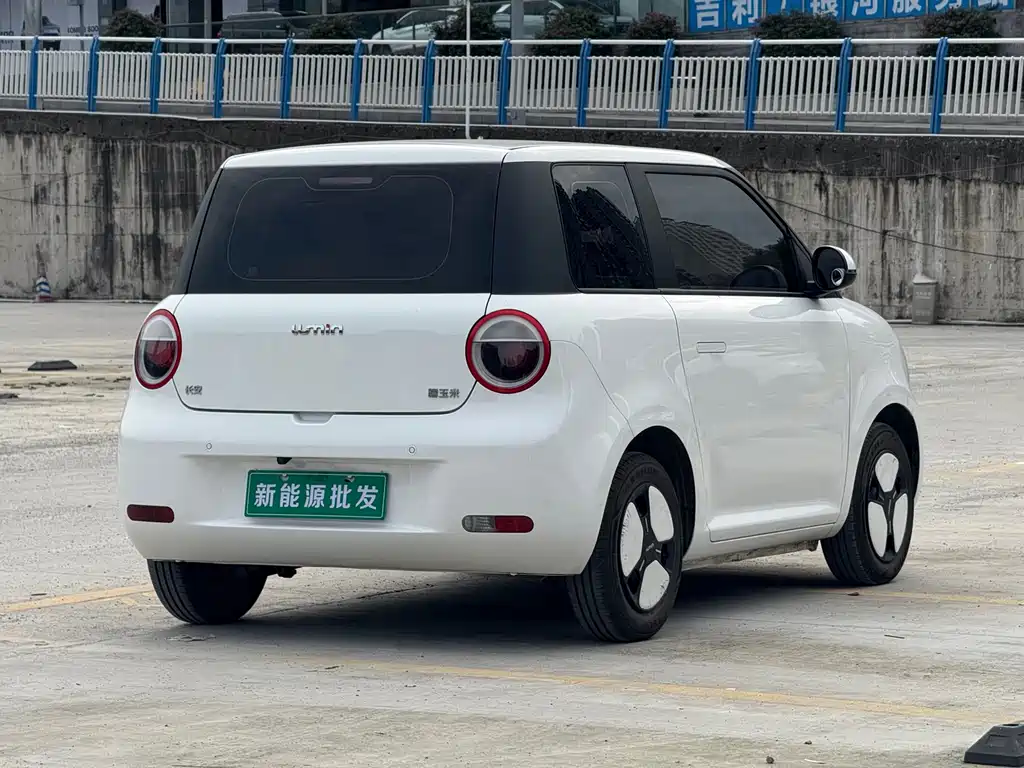Qiyuan Lumin — миниатюра 4