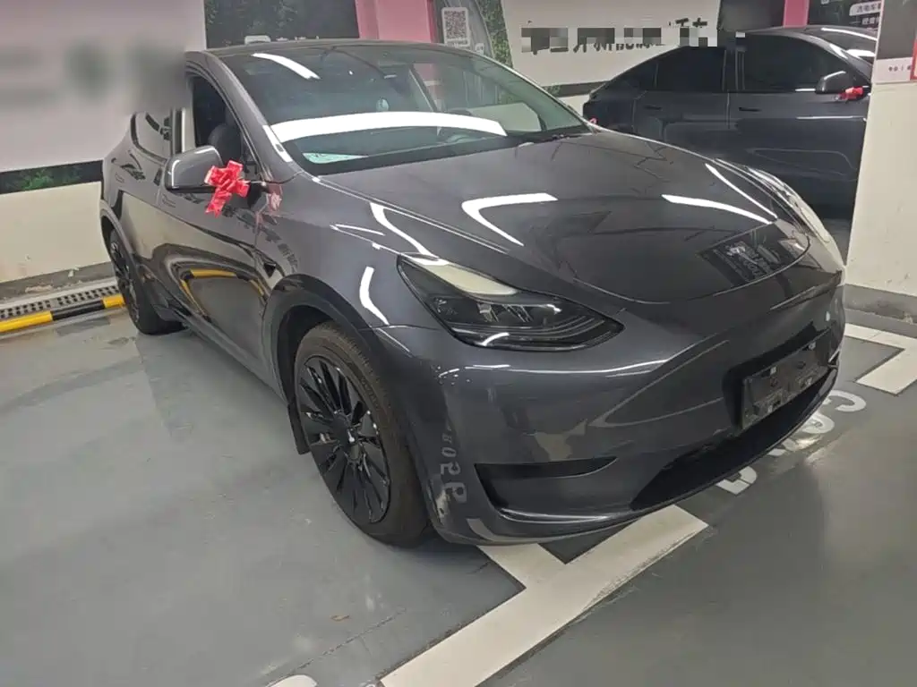 Tesla Model Y — миниатюра 4