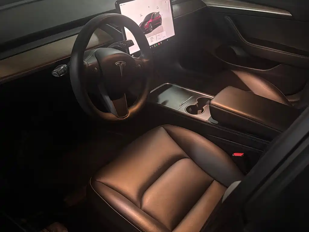 Tesla Model 3 — миниатюра 5
