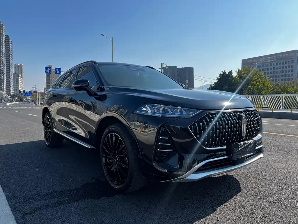 WEI PAI WEI BRAND MOCHA