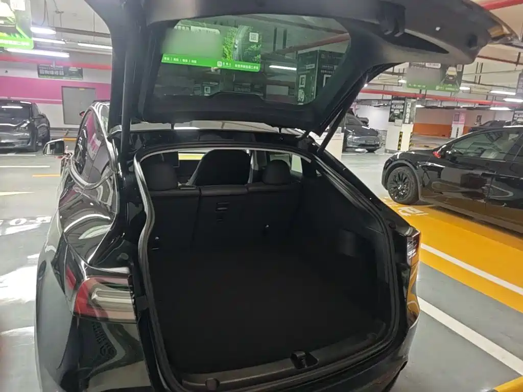 Tesla Model Y — миниатюра 19