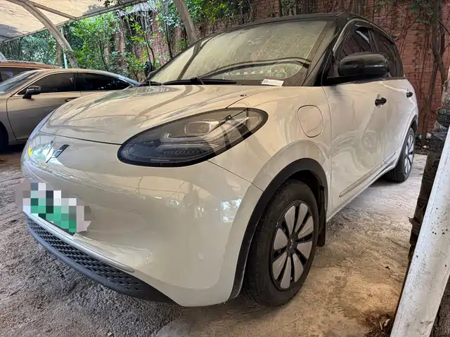 2024 Wuling Motors Binguo