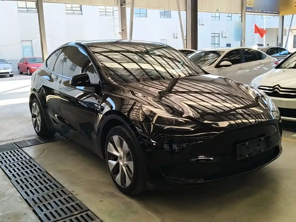 Tesla Model Y — миниатюра 4