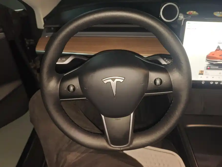 Tesla Model 3 — миниатюра 15