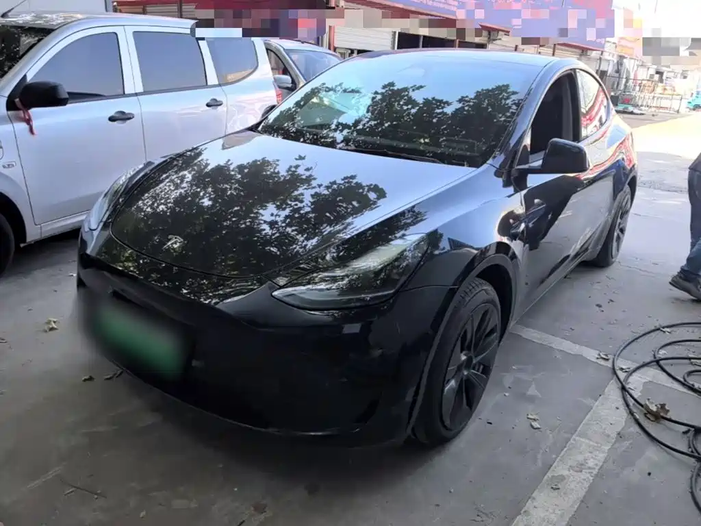 Tesla Model Y — миниатюра 2
