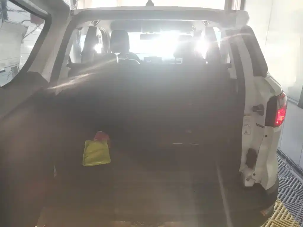 Ford Ecosport — миниатюра 19