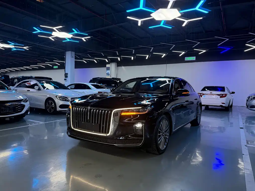 Hongqi Hongqi H9 2020
