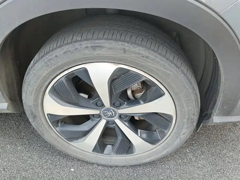 BYD PLUS New Energy — миниатюра 6
