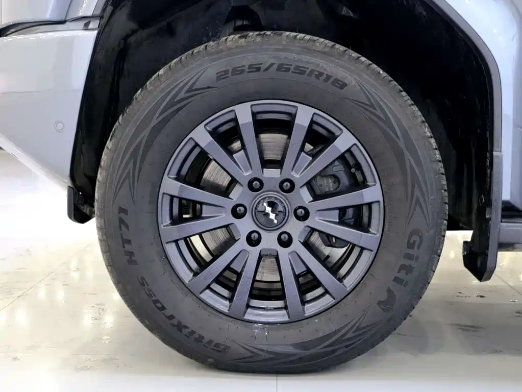 FANG CHENG BAO LEOPARD 5