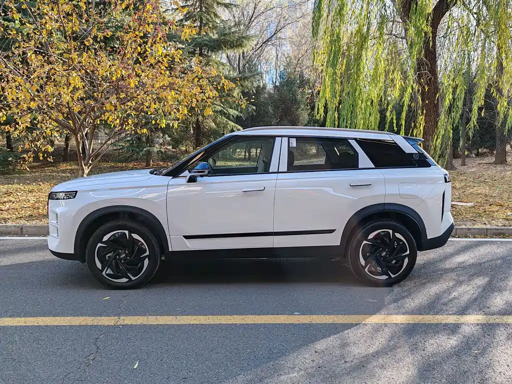 Chery C-DM — миниатюра 3
