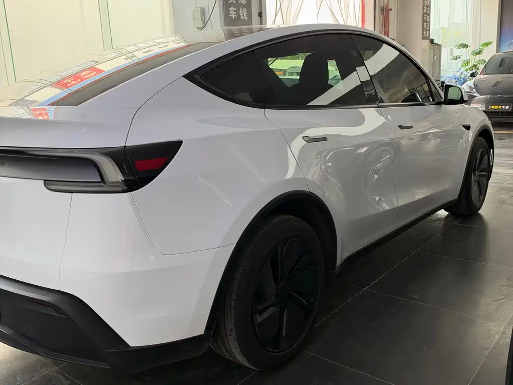Tesla Model Y — миниатюра 8