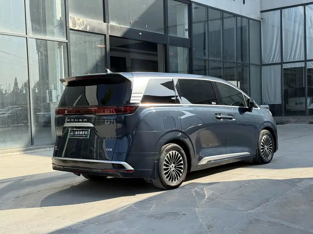 Denza Denza D9 — миниатюра 15