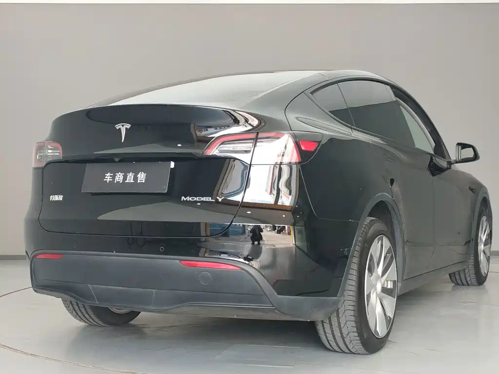 Tesla Model Y — миниатюра 5
