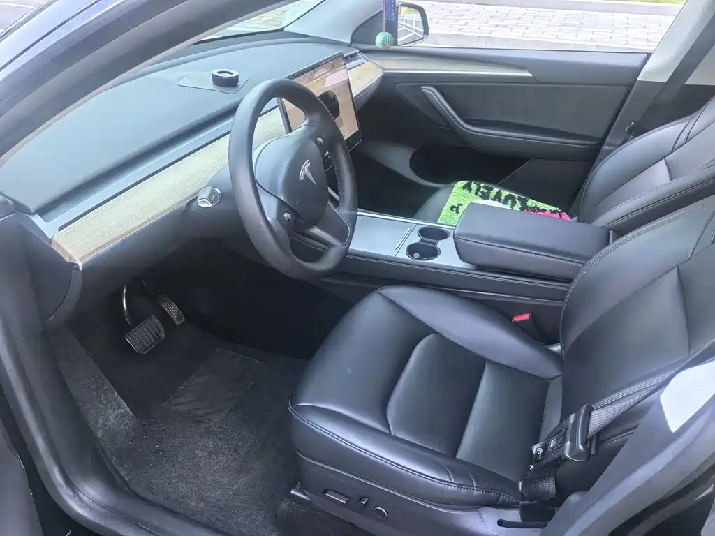 Tesla Model Y — миниатюра 4