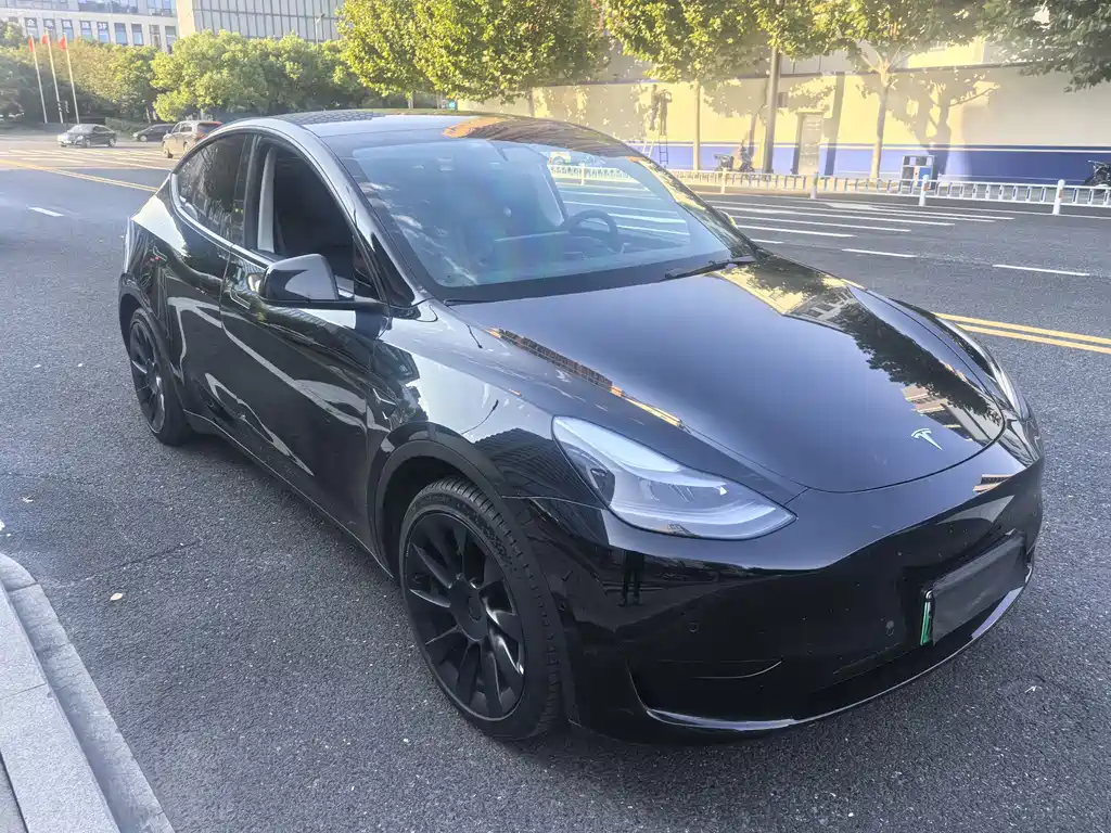 Tesla Model Y — миниатюра 12