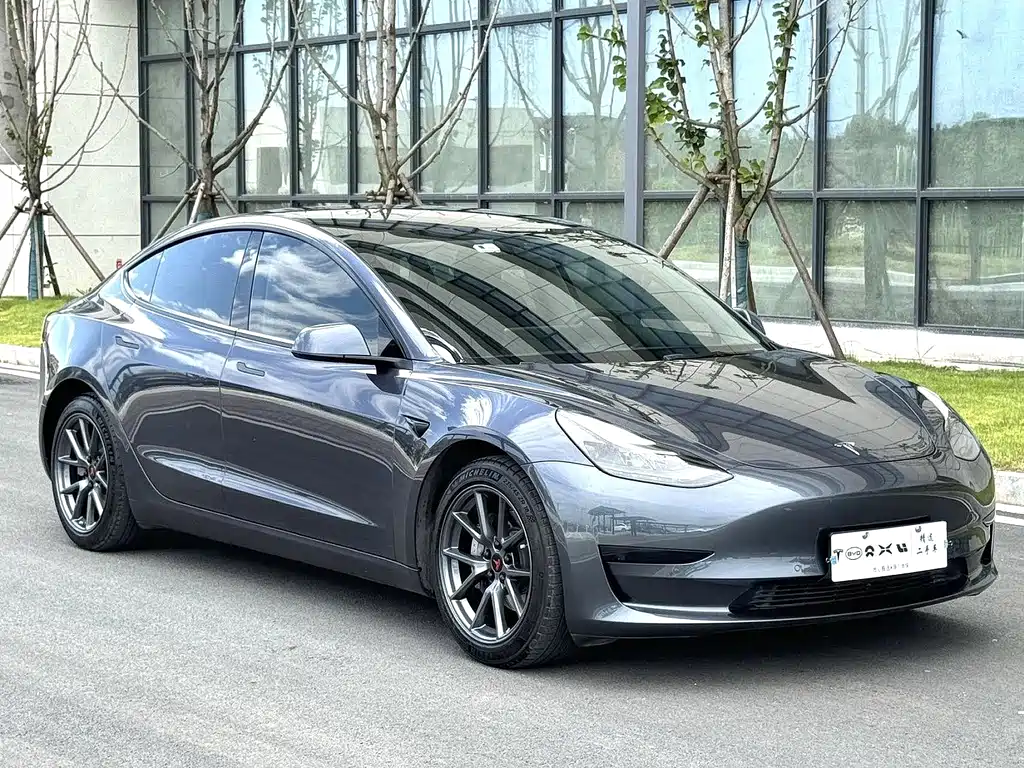 Tesla Model 3 — миниатюра 3