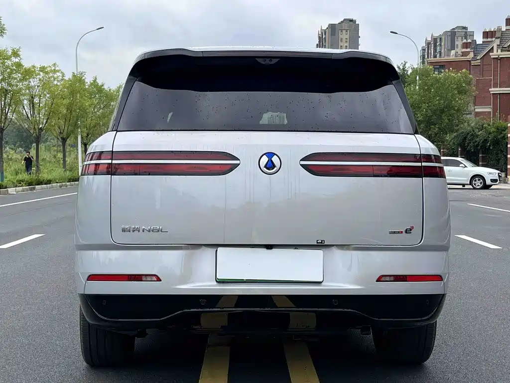 Denza Denza N8L — миниатюра 5