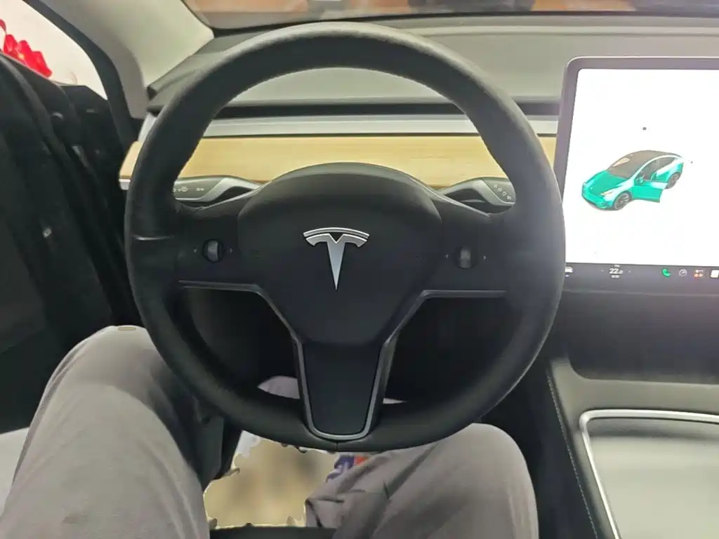 Tesla Model Y — миниатюра 11