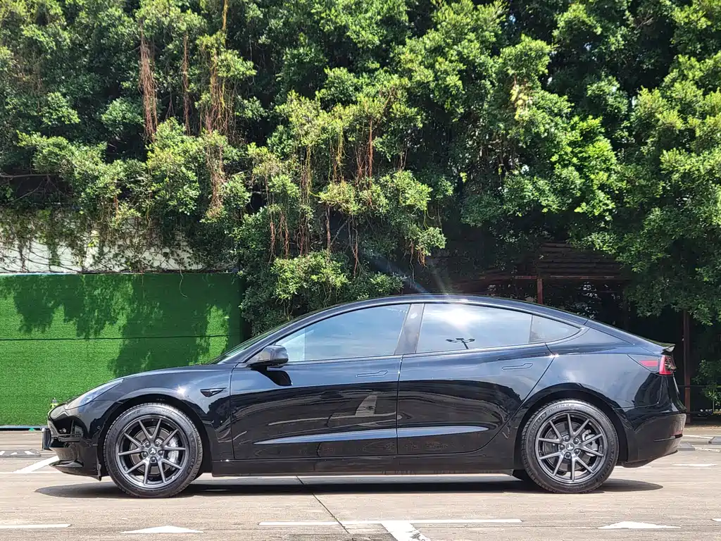 Tesla Model 3 — миниатюра 5