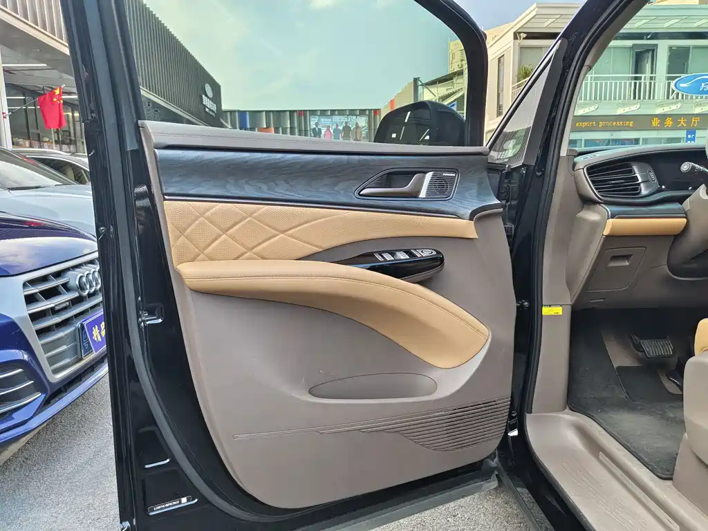 Denza Denza D9 — миниатюра 10