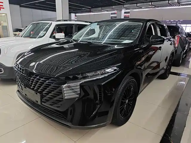 QICHEN  BIG V 2022