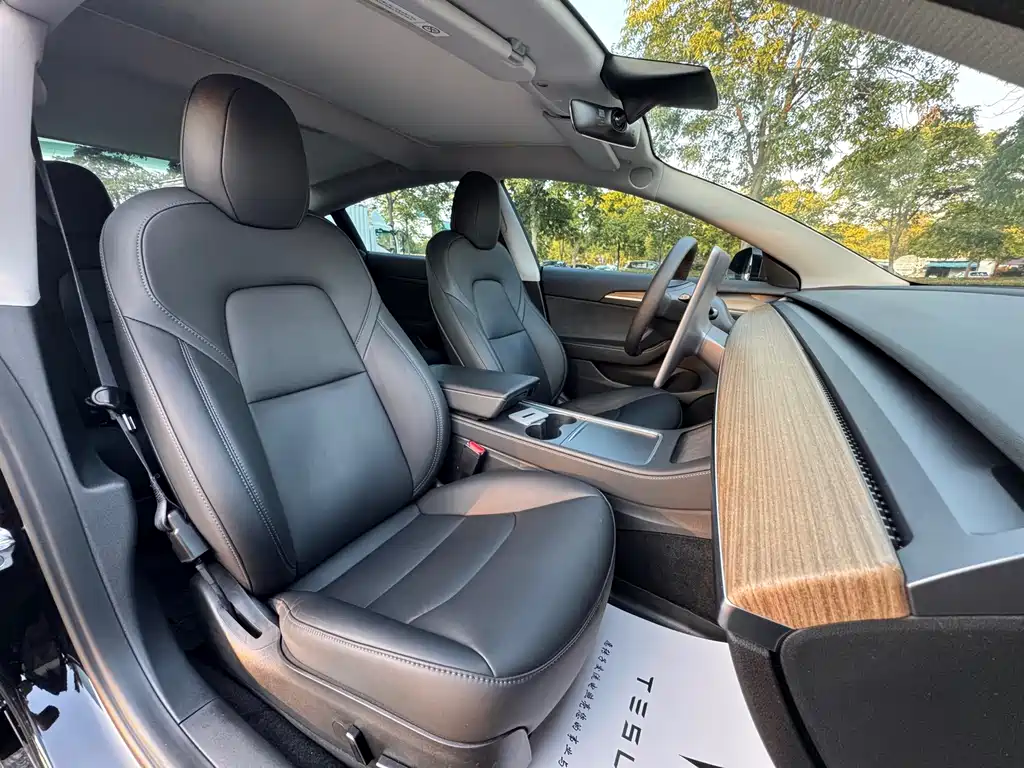 Tesla Model 3 — миниатюра 7