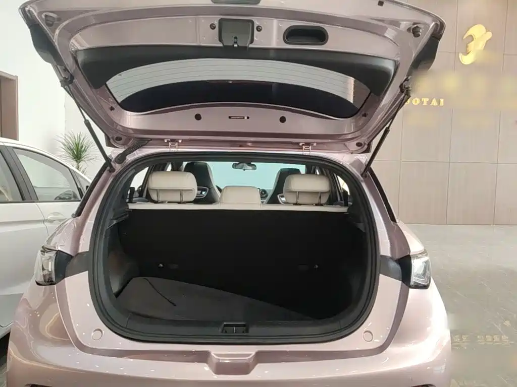 BYD Dolphin — миниатюра 19