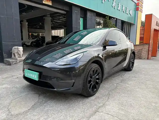 TESLA MODEL Y 2024