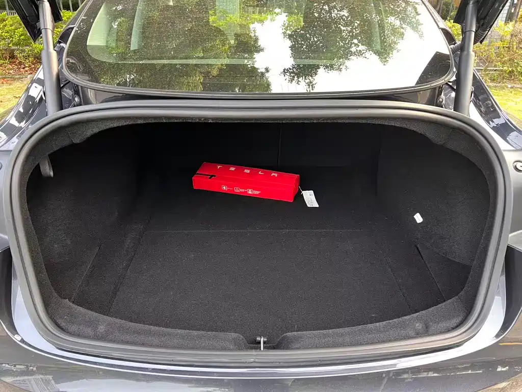 Tesla Model 3 — миниатюра 16