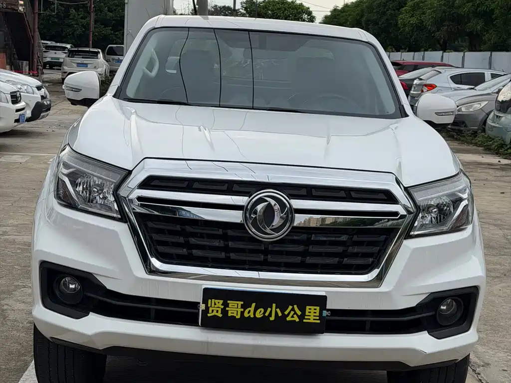 Dongfeng Rich — миниатюра 4