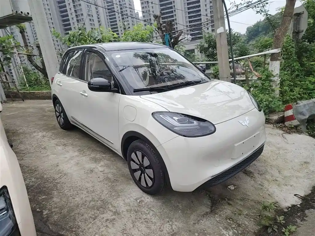 Wuling Binguo 2025 333km