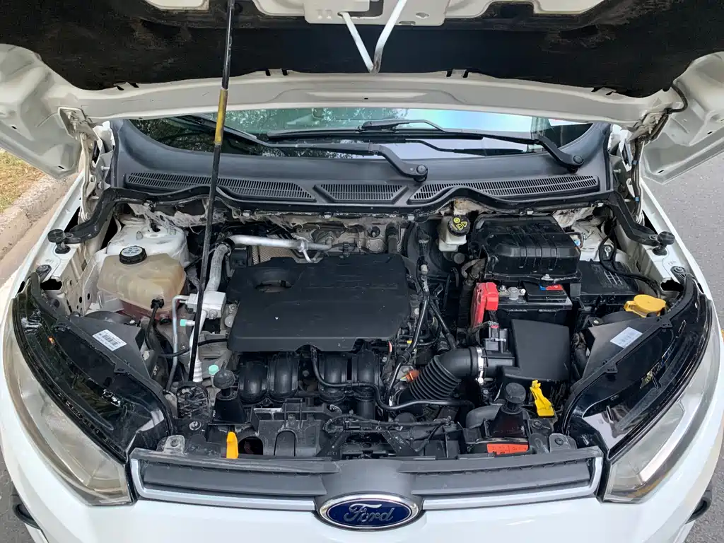 Ford Ecosport — миниатюра 19