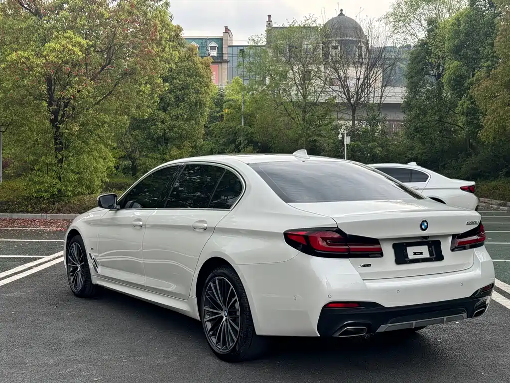 BMW 5 Series 5 2021 530Li Lead M Sport