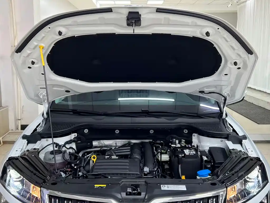 Skoda Karoq TSI280 Luxury Enjoy Edition, фото 20