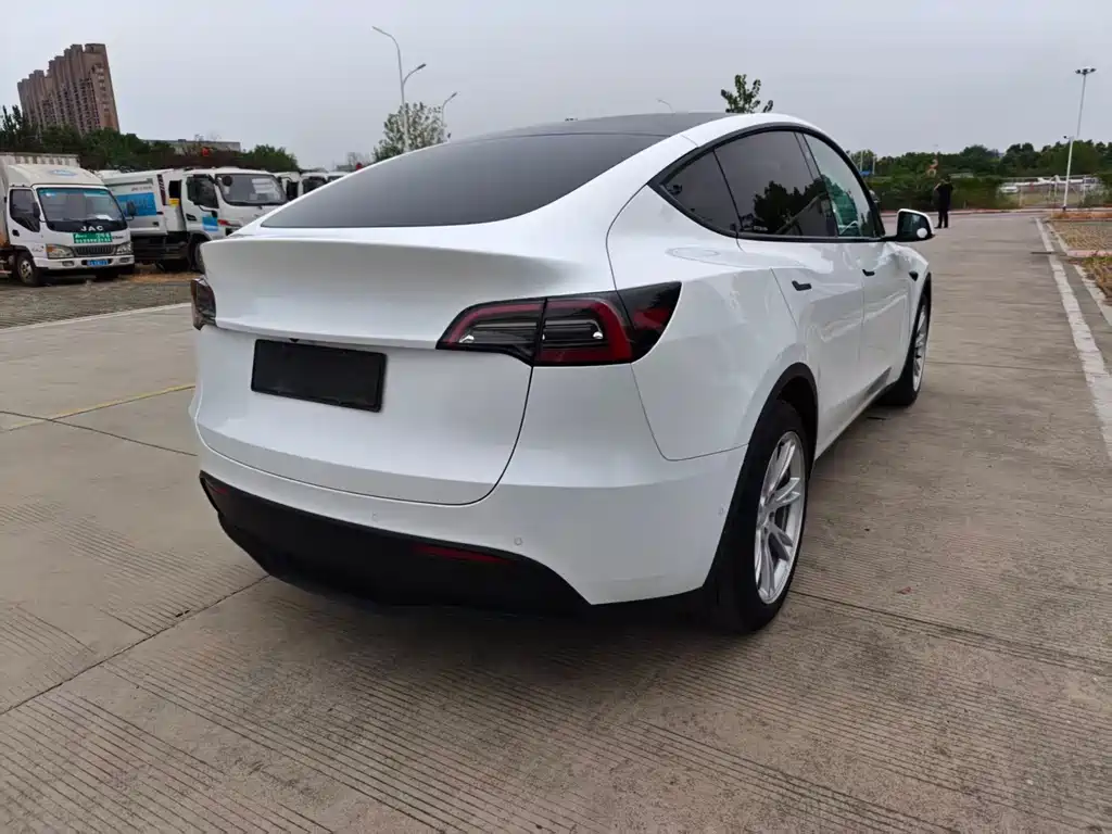 Tesla Model Y — миниатюра 7
