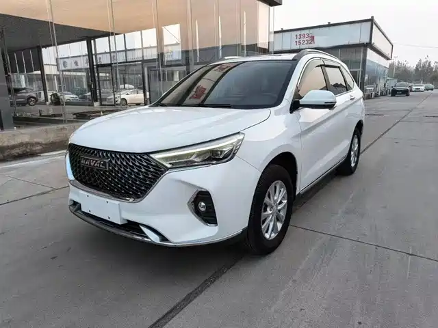 HAVAL M6