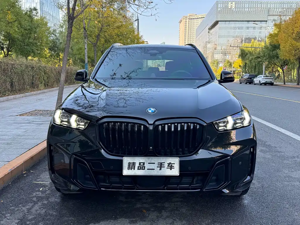 BMW X5 — миниатюра 2